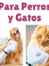 Secador Peinador de Mascota 2 en 1
