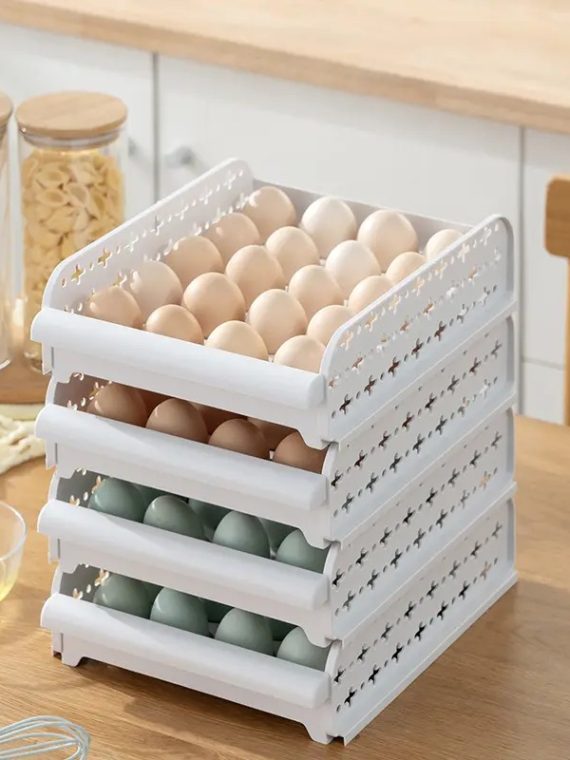 ORGANIZADOR DE HUEVOS