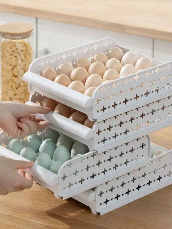 ORGANIZADOR DE HUEVOS