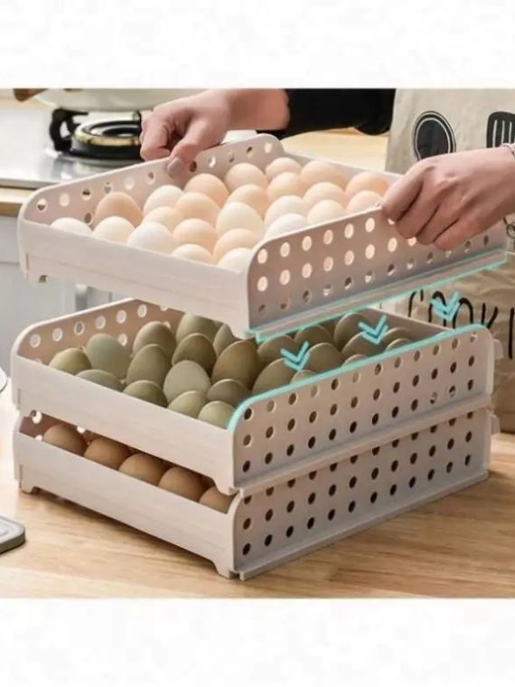 ORGANIZADOR DE HUEVOS